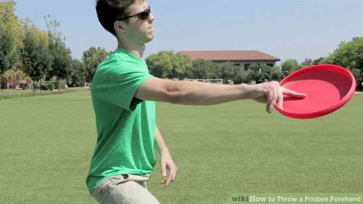 Image intitulée un Frisbee Avant l